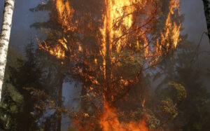 Le risque incendie va t-il rester assurable ?